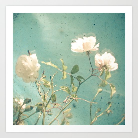White Rose Art Print