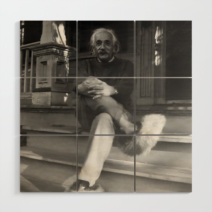 Funny Einstein in Fuzzy Slippers Classic Black and White Satirical  Photography - Photographs Leggings by Jeanpaul Ferro