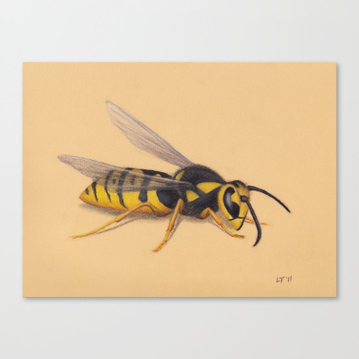 Wasp by Lars Furtwaengler | Colored Pencil / Pastel Pencil | 2011 Canvas Print