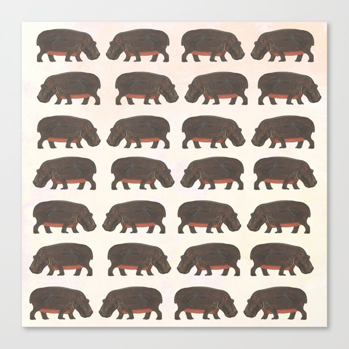 Hippo,hippo Canvas Print