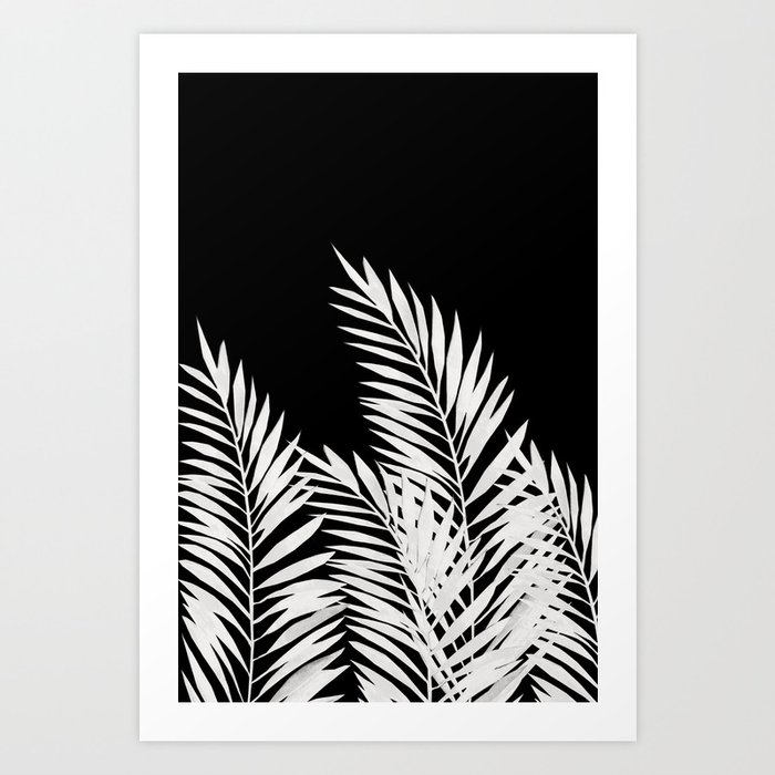 Palm Leaves White Art Print
