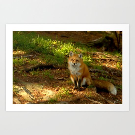 The look of love Art Print