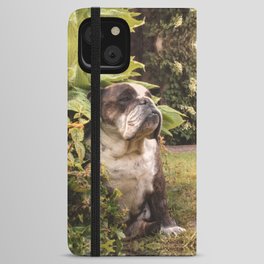 English Bulldog sitting in garden iPhone Wallet Case