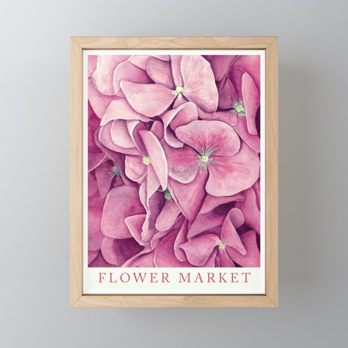 Magenta Hydrangea Watercolor - Flower Market Poster Framed Mini Art Print