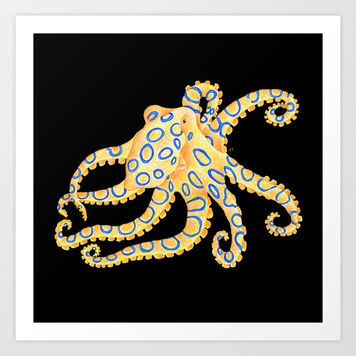 Blue Ring Octopus Black Art Print