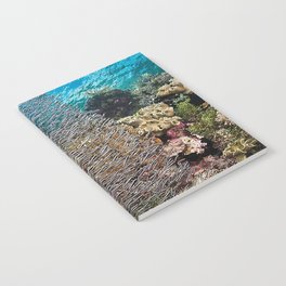 Sea Fish Notebook