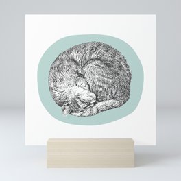 Curled Cat Mini Art Print