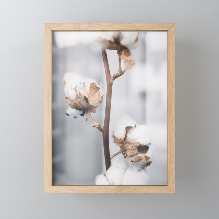 Cotton soft tones | warm colors photography | Framed Mini Art Print