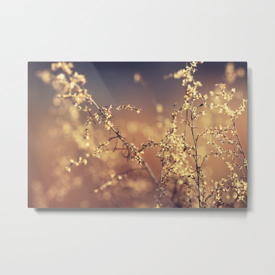 Evening Metal Print