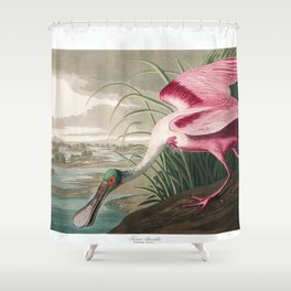 Roseate spoonbill, Birds of America, Audubon Plate 321 Shower Curtain