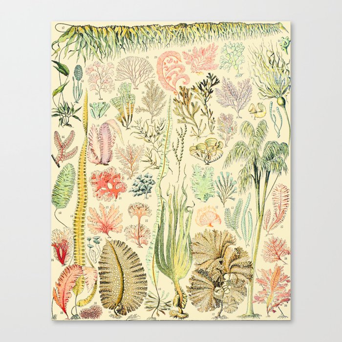 Canvas Print
