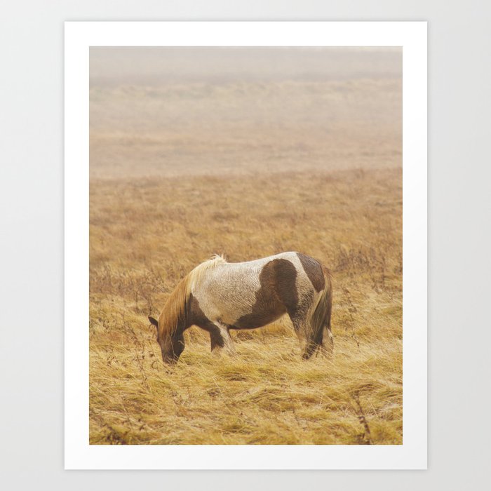 Runaway Art Print | Photography, Digital, Photography, Icelandic-horse, Iceland, Plains