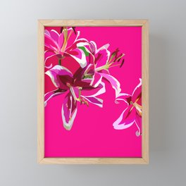 Pink Lily Framed Mini Art Print