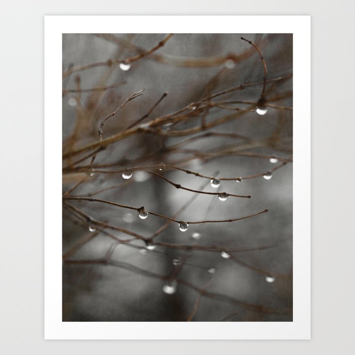 Raindrops on Branches Art Print