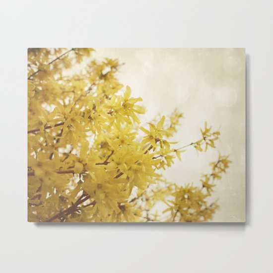Dreamy Forsythia Metal Print