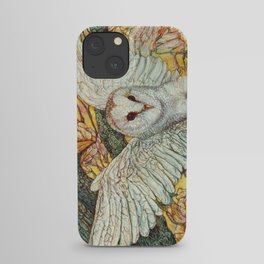 The Playground _ Raven, Owl, Chickadee iPhone Case