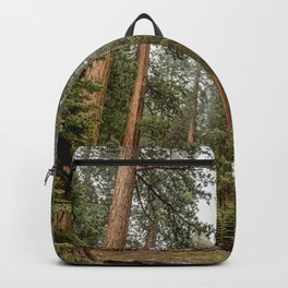 Sequoias in the Fog Backpack