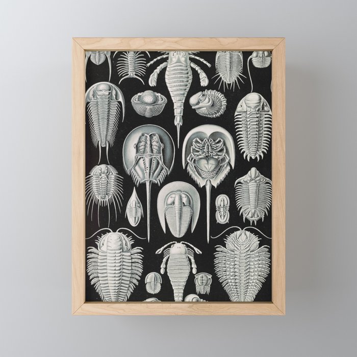 Framed Mini Art Print