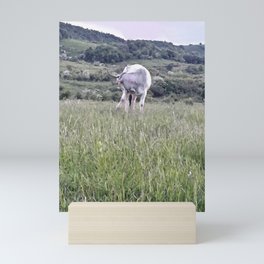 White cow pasture Mini Art Print
