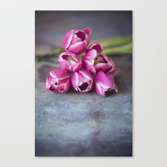 Beautiful Red Tulips Canvas Print