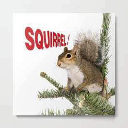 Squirrel! Metal Print
