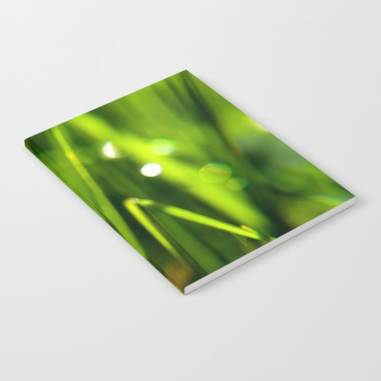 Dew on grass at early backlight Notebook