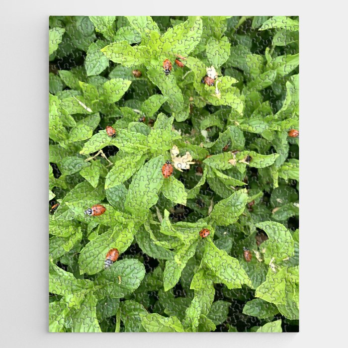 Mint Peppermint And Ladybugs Jigsaw Puzzle