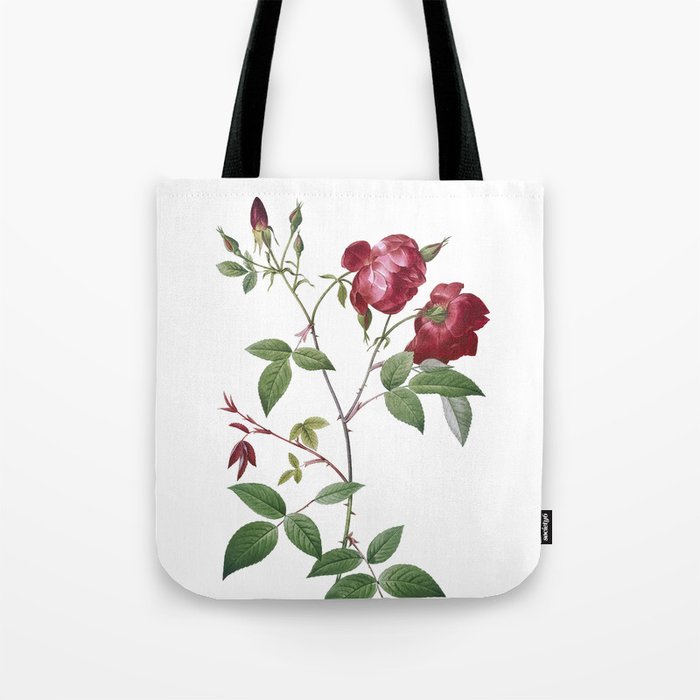 Vintage Velvet China Rose Botanical Illustration on Pure White Tote Bag