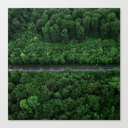 Forest - Way from the Jungle Canvas Print