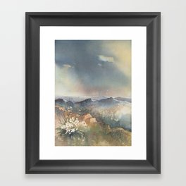 Desert Poppy Framed Art Print