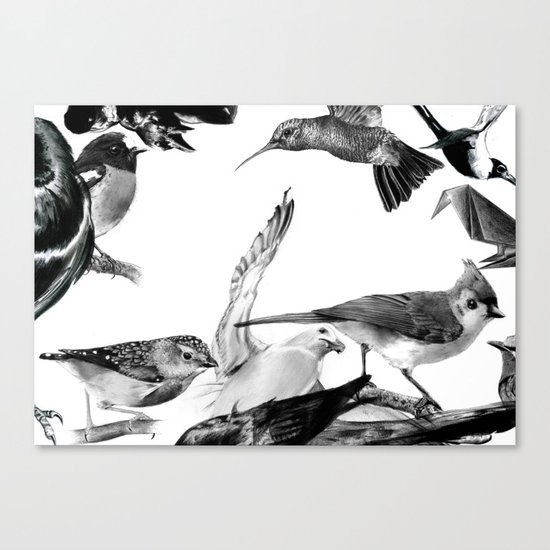 A Volery of Birds Canvas Print