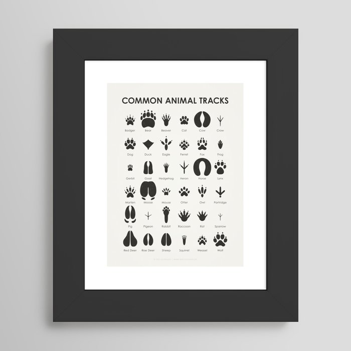 Framed Art Print