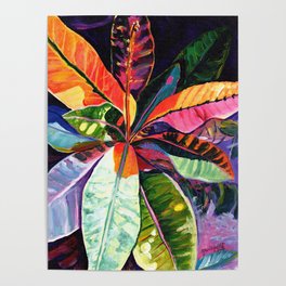 Kauai Croton Leaves Poster