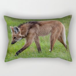 Argentina Photography - A Beautiful Maned Wolf Walking On A Field Of Grass Rectangular Pillow