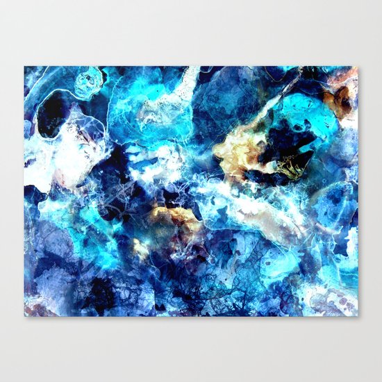 ANTARTICA Canvas Print
