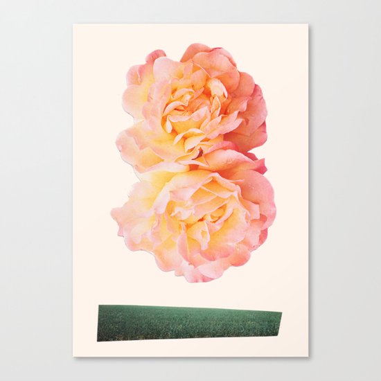 peachy keen Canvas Print