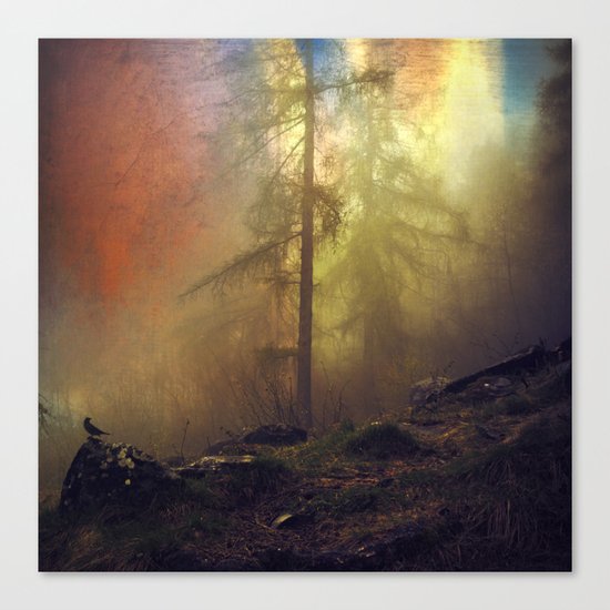 mystery and imagination Canvas Print