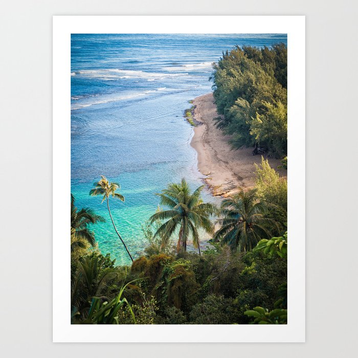 Beach Palm Trees Kauai Art Print