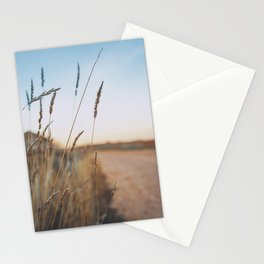 Sunset spikes Stationery Card