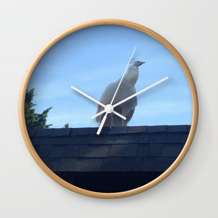 albino peacock  Wall Clock