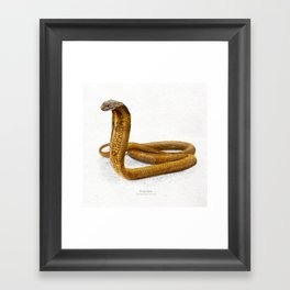 King cobra art print Framed Art Print