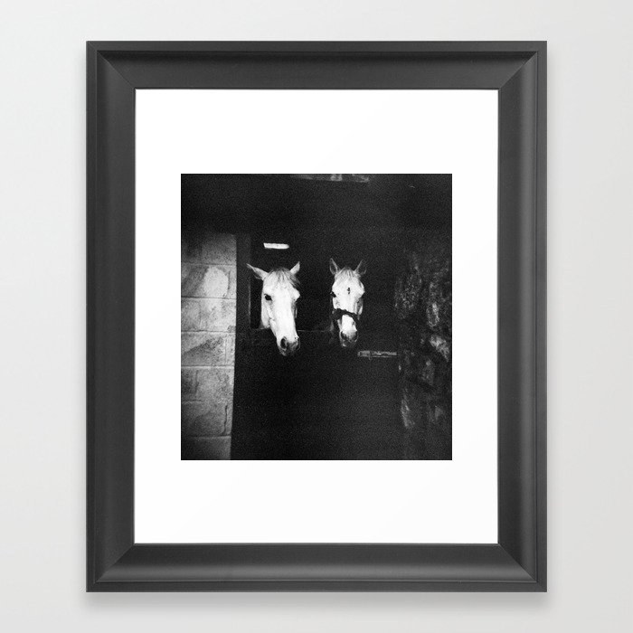 Two White Horses of Ireland in Black and White - Holga Photography Framed Art Print