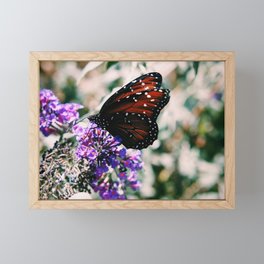 butterfly Framed Mini Art Print