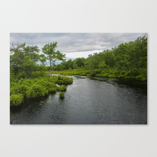 The Lake Canvas Print