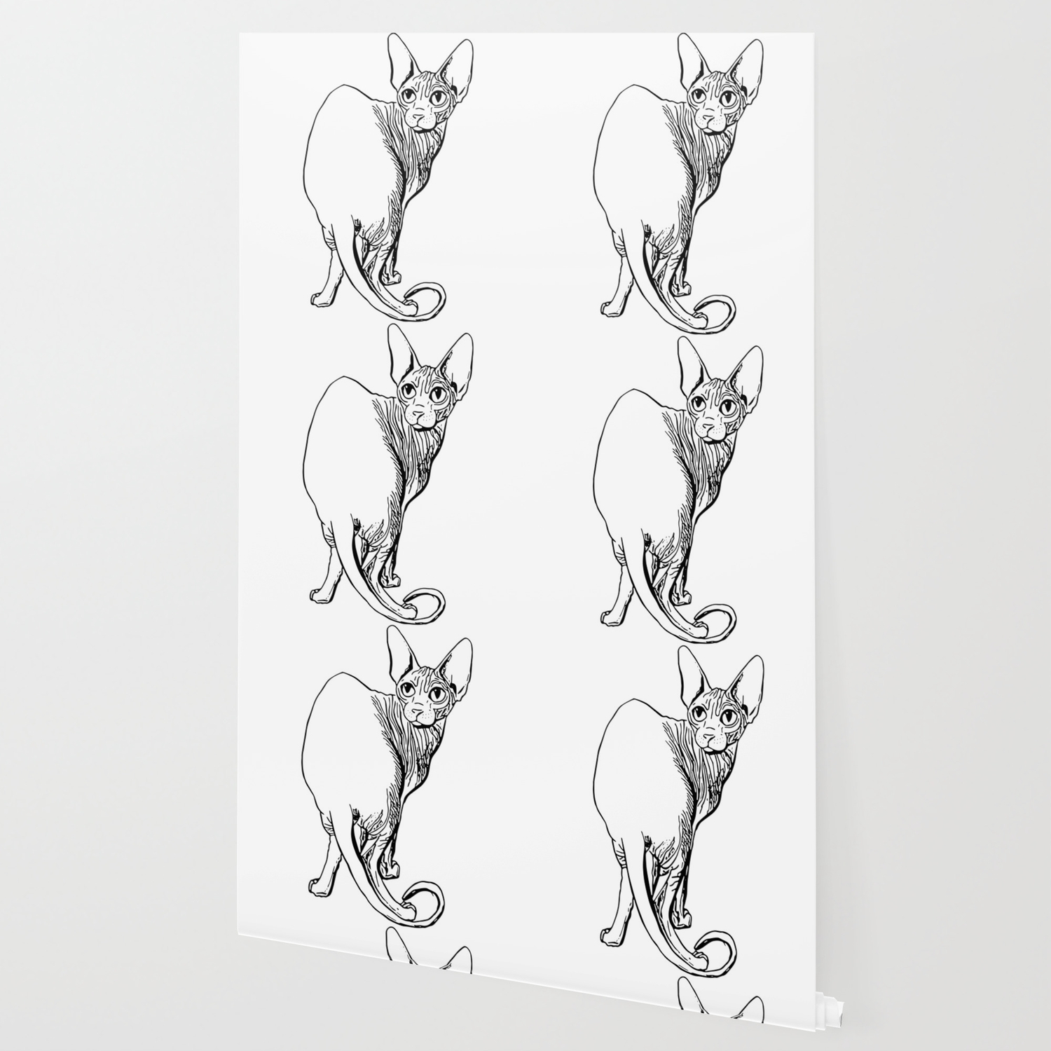Sphynx Cat Illustration Sphynx Cat Drawing Naked Cat