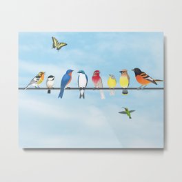 birds on a line - blackburnian warbler to baltimore oriole Metal Print | Butterfly, Easternbluebird, Colored Pencil, Drawing, Housefinch, Chickadee, Nashvillewarbler, Yellow, Rubythroated, Orange 