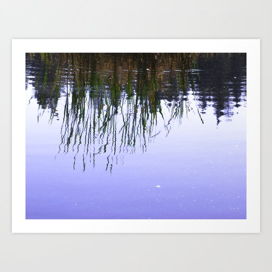 Reflections in the Water Art Print