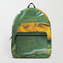 Coy Fish Backpack