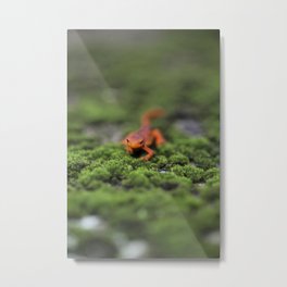 Coming For You - Orange Salamander Metal Print