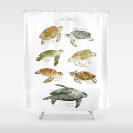 Sea Turtles Shower Curtain